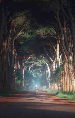 [12 chòm sao] Chiếc Giếng Thời Không