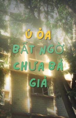 (12cs/bl) Ú òa! Bất ngờ chưa bà già