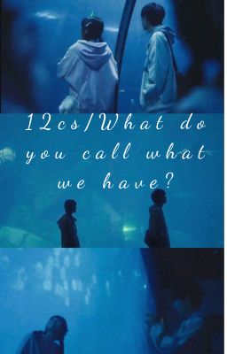 [12cs] : What do you call what we have?