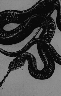 1st Gens 𝜗𝜚 𝓔𝓵𝔂𝓼𝓲𝓾𝓶