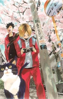 2:30 - KUROO TETSURO [ONESHOT]