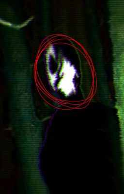 25 o'clock at Midnight