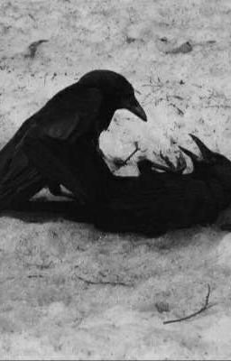 •2cs-GemLeo• Lure of Salvation 