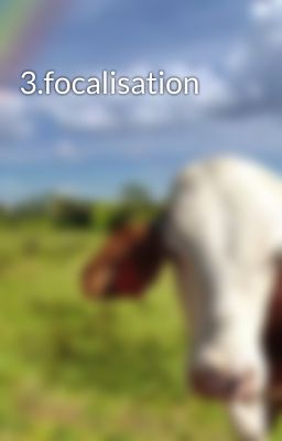 3.focalisation