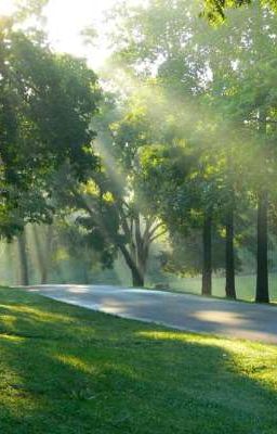 3 tháng với anh Hè./Ngược/