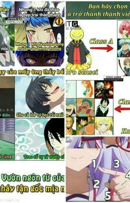 O(≧▽≦)O Ảnh chế anime!\(○^ω^○)/ DreamyCatTeam ♥♥♥