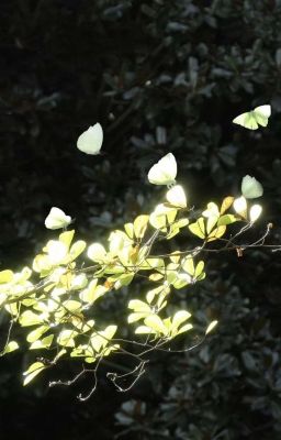 [AKAM] Take me with you