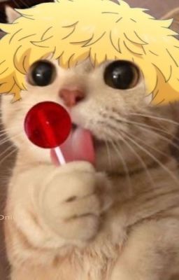[ All/Take] STREAMER NGƯỜI LỚN