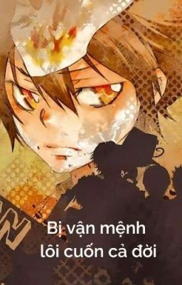 【All27/KHR×BSD×Conan/Xem ảnh thể】Bị vận mệnh lôi cuốn cả đời