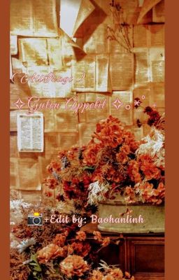 (AllFem!Isagi ) ✧Guten Appetit ✧。*゚+