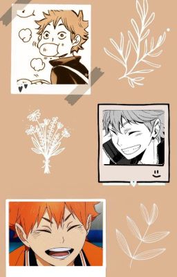 (AllHinata) (ABO) ( Drop) Hoa Lệ Rơi