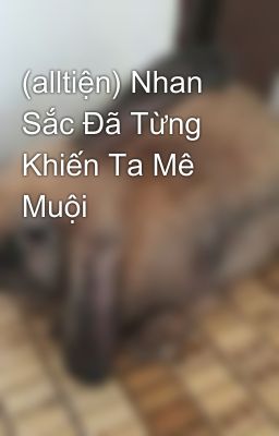 (alltiện) Nhan Sắc Đã Từng Khiến Ta Mê Muội