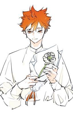 AllxHinata - Mấy Anh Là Ai? Tôi Là Nắng!