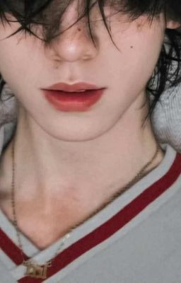 allzh | hàng dữ phồn tinh