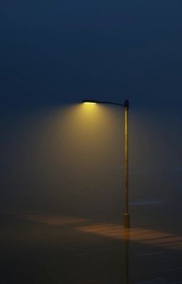 Ánh Đèn Không Ngủ