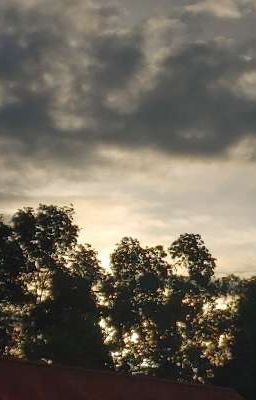 Ánh Dương Không Màu