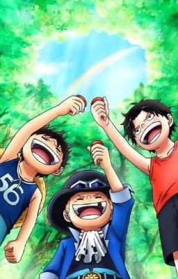 Anh em sinh đôi của Ace [one Piece] 