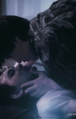 Ánh Hạ Cháy Bỏng