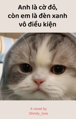 Anh là cờ đỏ, còn em là đèn xanh vô điều kiện