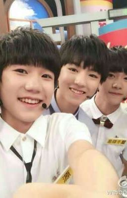 Ảnh nhà cỏ TDT (TFboys)