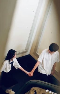 Ánh Sáng Của Đời Tôi 