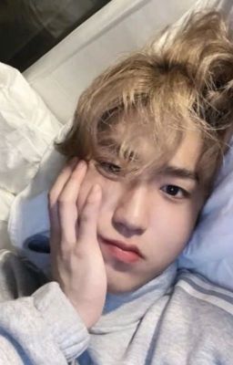 Anh thích em, rất rất thích em | Han Jisung x Y/N Oneshots