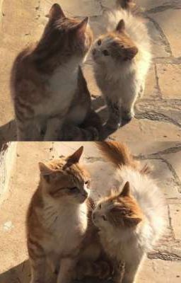 anhduy • chuyện chúng mình