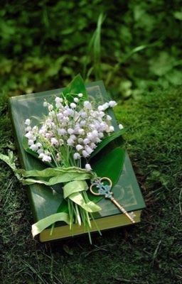 /AnhDuy/ Định Lượng Duy Nhất