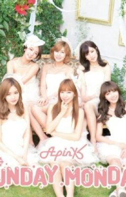 Apink Panda