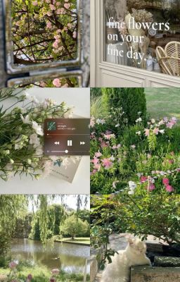 [ATSH 2][LinhRio]my love , my story