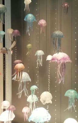 [ATSH]- cuối góc phố