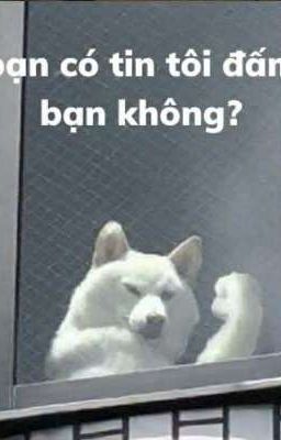 [ATSH]Xuyên Không Tôi Trở Thành Nữ Chính Đẩy Cp