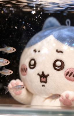 『atsh2』bae, don't cry