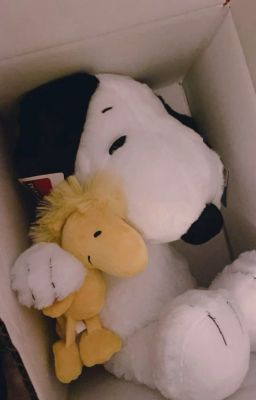 atsh2 | đời sống đại học