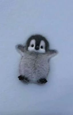 [ atsh2 ] nhà mình ồn, nhất là mấy cặp yêu nhau