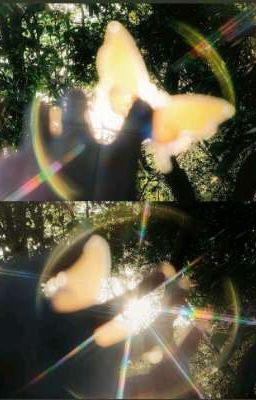 atsh2 | những con bò