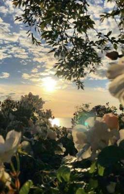 atsh2 // Oneshot OTP