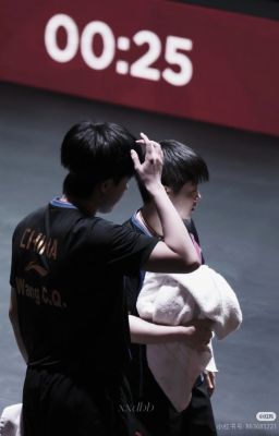 Bạch đàn xanh đã gặp chim Thích Hòe