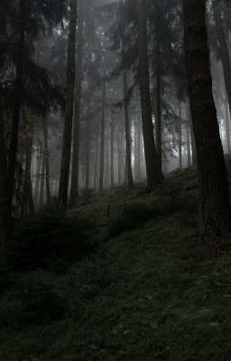 [Bạch Nguyệt Quan] Thiên thần chốn địa ngục