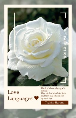 (Bạch Quang Vĩ Niên) Love Languages ♥