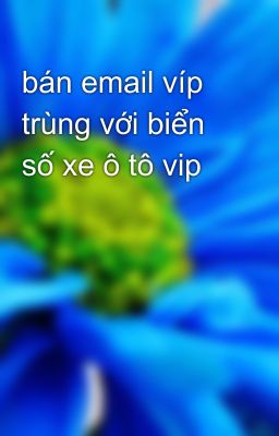 bán email víp trùng với biển số xe ô tô vip