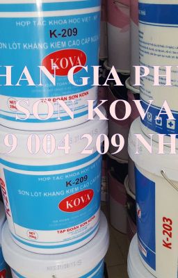 BÁN SƠN NƯỚC KOVA GIÁ RẺ CHO ĐẠI LÝ AN GIANG 0919 004 209 NHIÊN