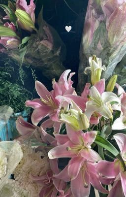 Bâng Quý; mùa hạ của đôi ta