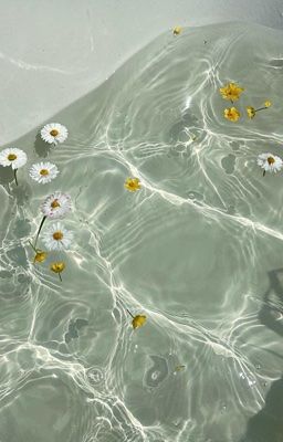 BanHoji ⟣ eternity