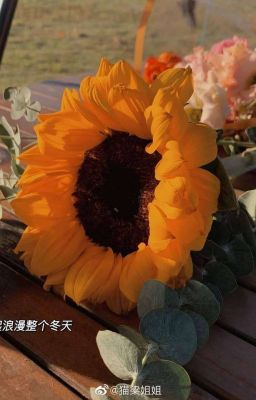 Bây giờ , chúng ta là gì của nhau ?