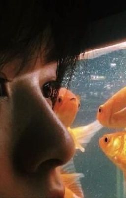 Beomhyun| From the bottom of my heart 