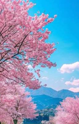 [ BHTT ] Chữ Thương Viết Như Nào Mình Nhỉ ?
