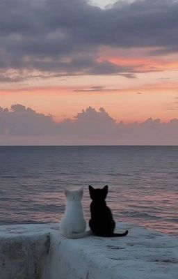 Bình minh bên bờ biển.