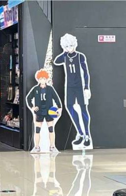 [Bllk/Blue Lock & HQ/Haikyuu] Tình ca tình ta