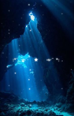 [ BLUELOCK x Reader ] Phong Dịu Hải Hòa <Drop>